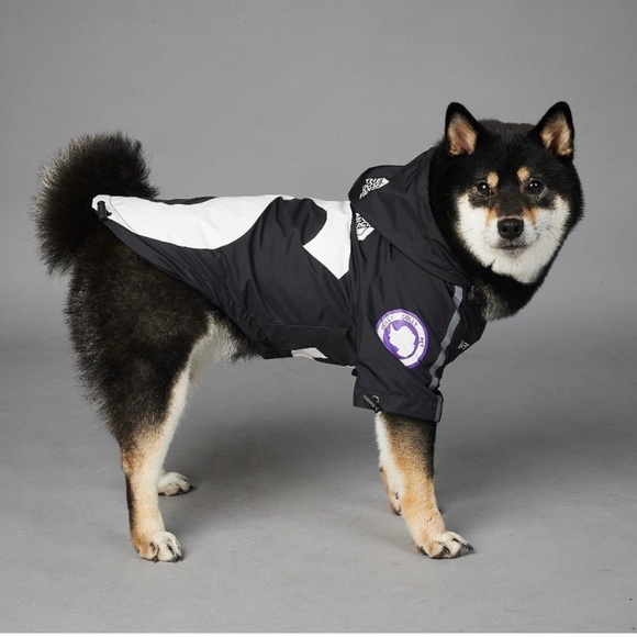 THE DOG FAN “S” PUPREME DOG WINDBREAKER JACKET - Picture 3 of 6